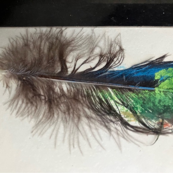 Vintage feather art in picture frame - Picture 3 of 4
